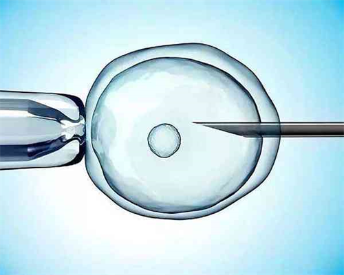 9促排试管拮抗剂药物