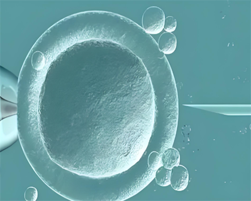 济南代孕专业的公司,试管婴儿促排期间感冒能吃药吗_医院看男女-习惯性流产试