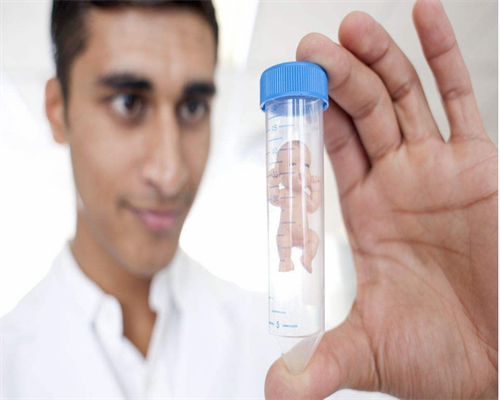 供卵试管怎么样_供卵试管婴儿经历,送子鸟供卵移植,台湾送子鸟供卵试管