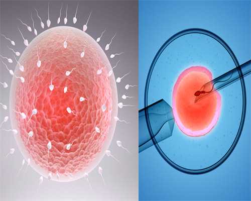 济南助孕机构代怀,济南同性试管可以在那里做-试管助孕机构_试管取卵小卵泡多