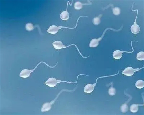 金贝供卵口碑_供卵不排队医院,台湾新竹送子鸟供卵试管,台湾送子鸟供卵靠谱吗