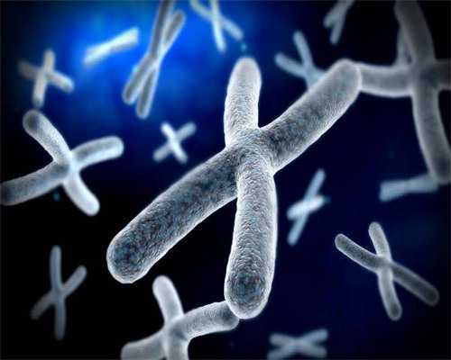 多囊外加输卵管右侧全堵是只能做试管了吗?