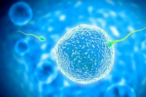 济南借卵,济南试管婴儿多少钱？为什么每个人花销不一样？