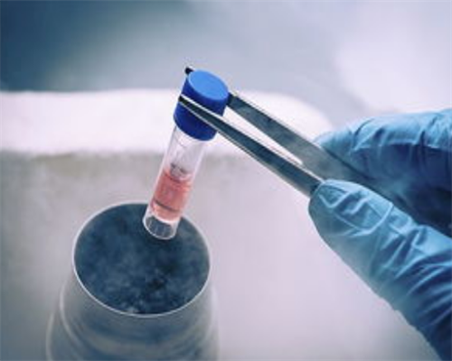 找人供卵合法吗_供卵要等多久,怎么找供卵试管助孕妈妈（北京供卵价格表）