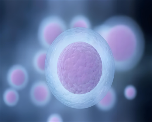 上海世纪助孕公司怎么样_世纪助孕郝馨,重庆助孕套餐中介 1重庆当地能做试管