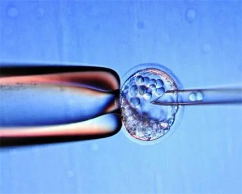 试管婴儿供卵心里_做供卵试管婴儿,天津供卵助孕机构top排行榜！供卵试管成功