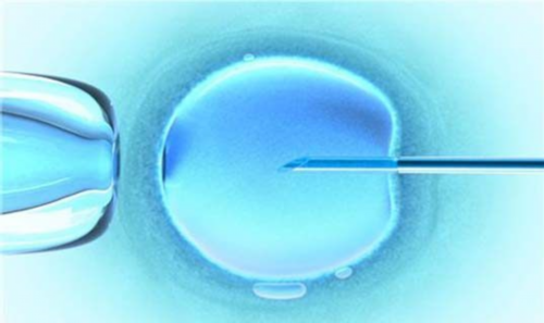 供卵正规医院_高龄供卵试管,哪里能做供卵试管宝宝呢(黑河哪里能做供卵试管婴