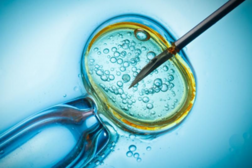 供卵哪里可以提供_合法供卵中心,山大生殖供卵条件(山大生殖医院供卵试管)