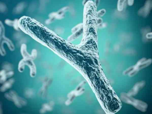 济南医院代怀,33岁在济南做3次试管婴儿都失败，到底是啥原因？_上海正规供卵