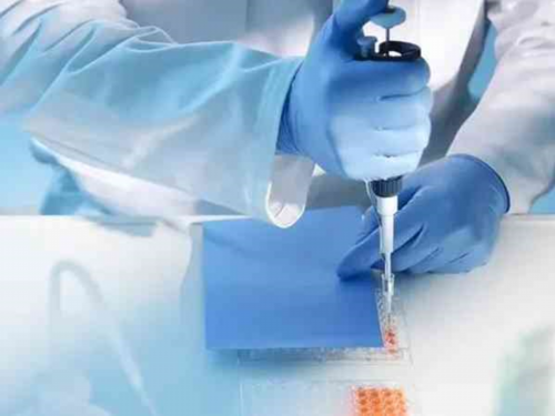 正规供卵中心_专业供卵机构地址,吉林市供卵医院排名_2026天津市供卵试管医院