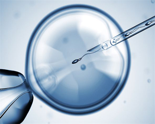 试管供卵价格_供卵技术,宣城供卵试管