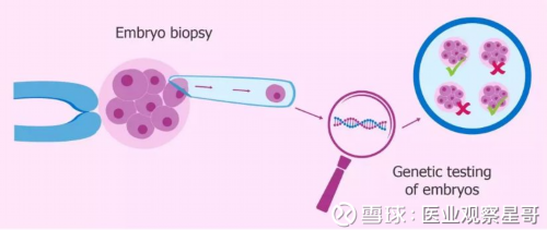 济南代孕靠谱的机构,济南可以做试管的公立三甲医院有哪些？_上海供卵试管医