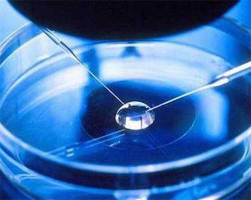 供卵专业医院排名_供卵生子中心,北京供卵试管包成功博客（河北供卵试管）