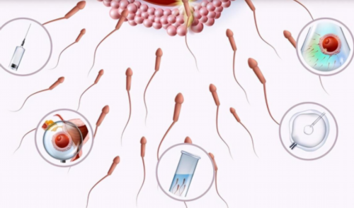 济南同性代怀官网,上海国妇婴试管婴儿必读攻略_上海私立医院供卵多少钱_中山