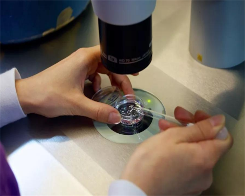 上海世纪助孕集团官网优贝贝助孕名医_上海世纪助孕,找浙江代生公司 浙江试管