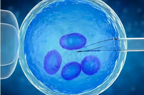 济南私立供卵,做泰国试管婴儿需要住院几天？-济南三胎生育津贴2026
最新政策