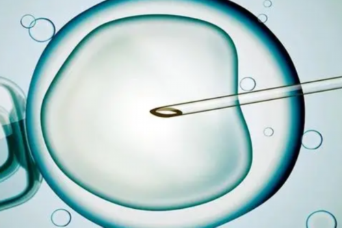 供卵试管婴儿流程_供卵自怀,去做试管婴儿供卵机构(保定供卵试管婴儿助孕机构