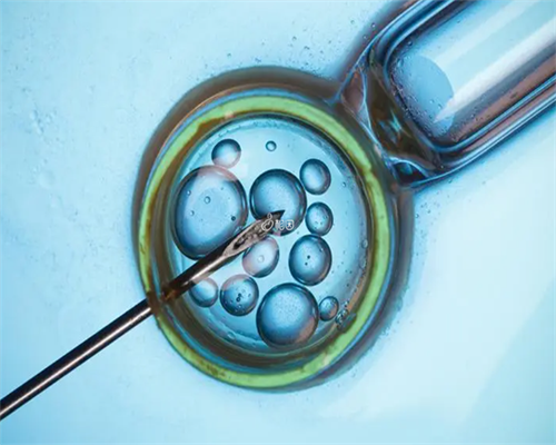 济南代怀孕价格表,第三代试管婴儿会不会影响孩子的智力与相貌呢?-济南铁路医