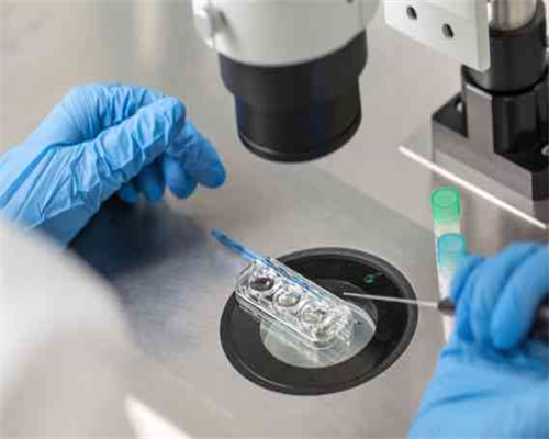 济南专业代孕费用,卵巢储备功能下降，试管成功几率高吗？_月经规律可以选择