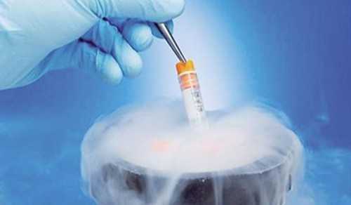 试管怀龙凤胎机率