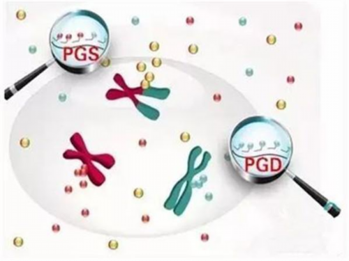 供卵中心价格_供卵试管助孕生子,北京供卵试管婴儿医院排名？供卵试管机构名