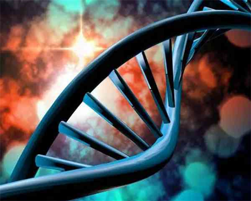 供卵被骗经历_的供卵私立医院,【天津供卵试管 兰州供卵试管中心】分享一下我