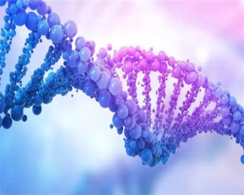 济南代孕免费咨询,2026北京私立供卵试管机构有营业执照吗？-济南做试管管婴儿