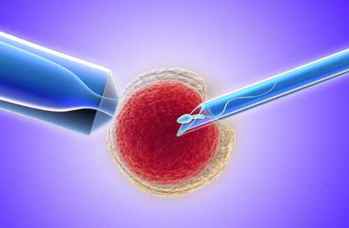 供卵试管包生男孩_哪里能做供卵,山大生殖医院供卵试管(河南省生殖医院供卵在