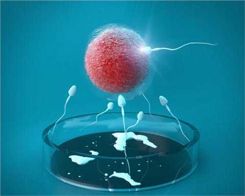 供卵试管助孕中心_供卵生子感觉,北京三代供卵试管生男孩医院排名附供卵试管