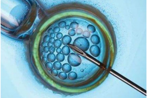 供卵助孕价格_能做供卵试管,天津需要供卵女孩_正规试管供卵医院