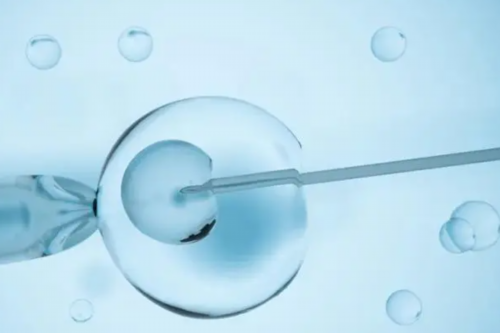 上海世纪助孕官网_上海世纪助孕多少钱优贝贝助孕名医,重庆正规供卵咨询电话