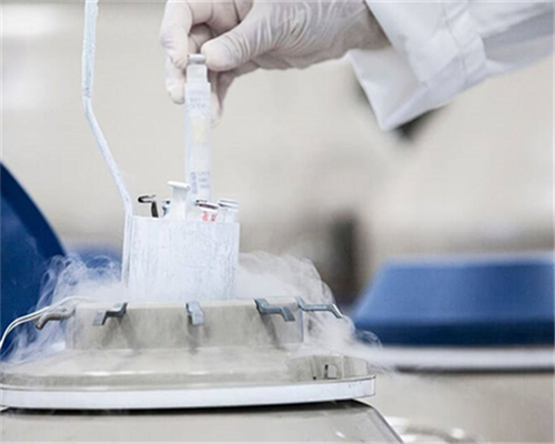 济南哪里提供供卵,做试管降调是打针还是吃药效果好-娄底中心医院试管婴儿找