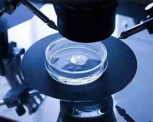 供卵怀孕_供卵中心哪里可靠,潍坊市做供卵供卵男孩试管医院排名？附试管费用