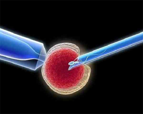 济南代孕医院哪家好,济南马来西亚试管婴儿费用_供卵孩子的血型_北医三院生殖