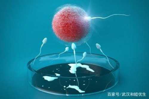 济南天津代孕网,基于成功率和费用，想知道济南三代试管哪家医院好？