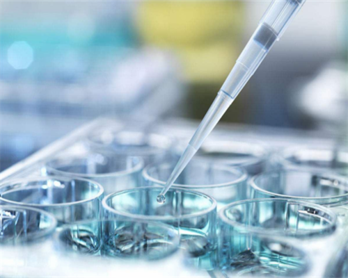 拿了生育金单位还会交社保吗？需要注意什么？