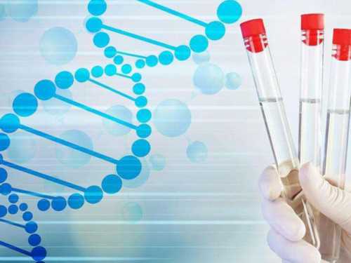 济南靠谱代怀机构,营口姐妹为啥试管婴儿胚胎移植前要憋尿呢？-济南不孕不育