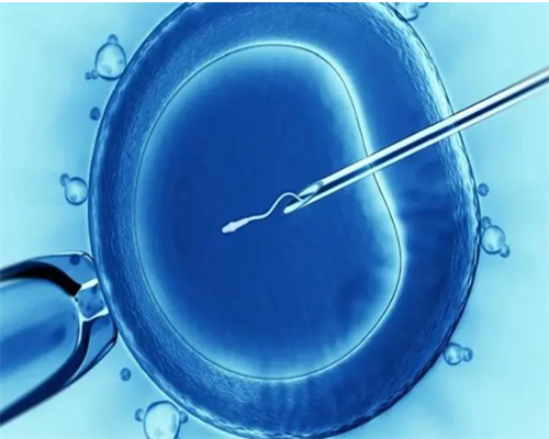 济南代孕哪家便宜,济南同性试管婴儿合法吗_正规助孕公司-生男生女取决于男方