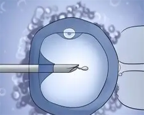 济南哪里有代生儿子,做试管期间感冒了怎么办？_取卵技术影响试管的结果-胚胎