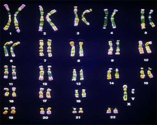济南大学生代孕,泰国试管婴儿子宫内膜厚度移植标准_济南山大附属医院生殖医