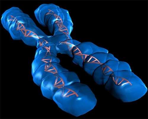 济南哪家代孕公司可靠,做试管婴儿的价格会不会很贵_上海私立医院供卵多少钱