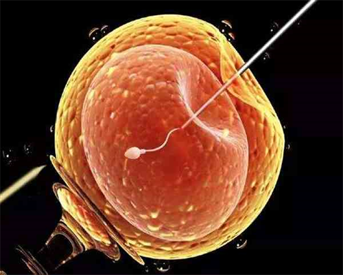 济南代生在线咨询,45岁做试管成功率有多大？-是不是要要着床成功了才开始有