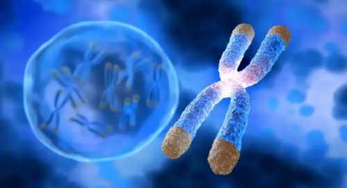 上海世纪助孕多少钱_世纪助孕官网,重庆代怀最靠谱 重庆十大医院排名情况是什