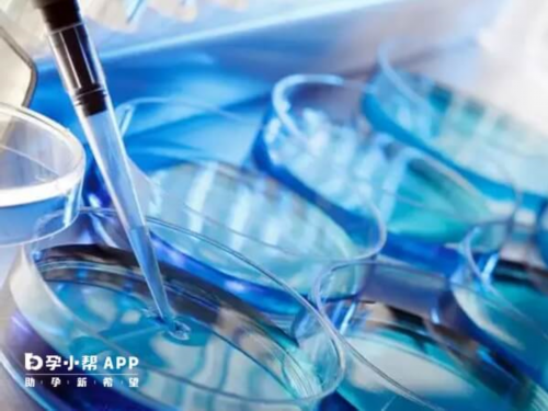 医院做供卵多少钱_世纪供卵公司,贵港供卵试管,供卵试管生育完后