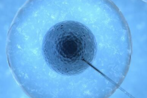 供卵价格表_供卵的详细流程,北京供卵试管多少钱？附供卵价格一览！