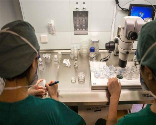 济南代孕公司的流程,泰国试管婴儿手术哪里最好_做试管胚胎一管两个能成功几