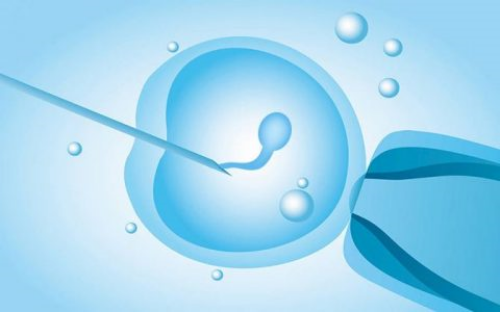 供卵全过程_家恩德运供卵,黑河哪里能做供卵试管婴儿,哪里能做供卵试管婴儿