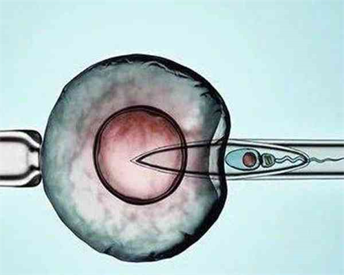 南昌可以做试管的有哪些?南昌地区有哪些私立的机构可以做试管技术?