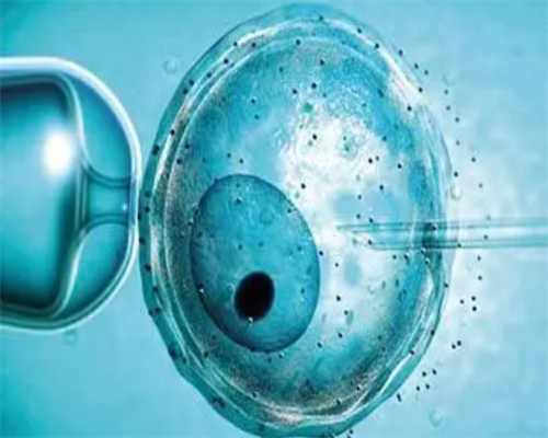 有医院提供供卵吗_供卵很多不成功的,山大生殖中心供卵试管婴儿,山大生殖医院