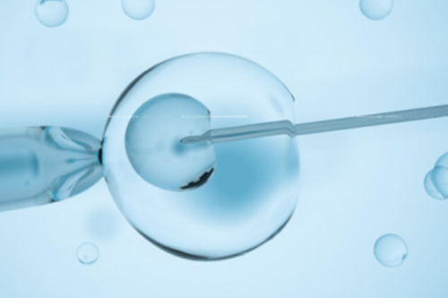 48岁做供卵试管_哪里可以供卵,2026
乌海市妇幼保健院供卵试管费用明细表，附最